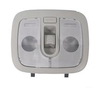 Head Console Reading Lamp, Replacement for Kia Soul 2009-2012 Models, Gray ABS Interior Switch, OEM 92850-2K100QW