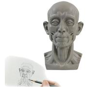 Head Model for Artists Learn Planes of Face, NEW Small Mannequin Manikin Head for Art Drawing Skecthing Study, Human Manikin Head for Medical and Artistic Drawing Skecthing Painting