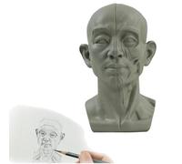Head Model for Artists, Model for Artists Learn Planes of Face, for Learning Planes and Light Details, Small Mannequin Manikin Head for Art Drawing Skecthing Study (Style 5)
