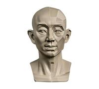 Head Models for Portrait Sketching, Resin Plaster Statues, Drawing Models for Art Students, Still Life Skulls, Small Resin Human Manikin Head Sculpture for Medical Drawing Teaching (Head & Block)