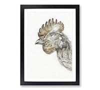 Head of a Chicken by Jean Bernard Framed Print | A2 Black Framed Wall Art | Ready to Hang | Modern Animal Picture | Living Room Bedroom Lounge Office