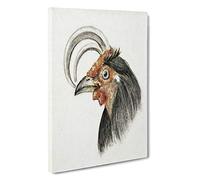 Head of a Rooster by Jean Bernard Canvas Print | Gallery Wrapped 30mm Frame Wall Art | 30x20 inches | Ready to Hang | Modern Picture | Living Room Bedroom Lounge Office