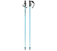 Head - Race Ski poles - Worldcup SL Speed Blue in Aluminium - Size 115 cm Blue 115 cm