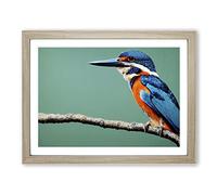 Head Turning Kingfisher Bird Framed Print | A4 Oak Framed Wall Art | Ready to Hang | Modern Nature Picture | Living Room Bedroom Lounge Office