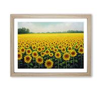 Head Turning Sunflower Field Framed Print | A2 Oak Framed Wall Art | Ready to Hang | Modern Floral Picture | Living Room Bedroom Lounge Office