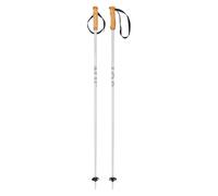 HEAD Unisex Adult Joy Ski Poles, Grey/White, 110