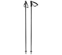 HEAD Unisex - Adult Multi Black Ski Poles, Black, 110