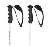 Head Worldcup Rebels Carbon Poles