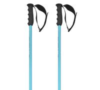 Head Worldcup Sl Poles