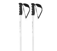 Head Worldcup Sl Poles