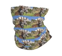 Headband style face mask, Funny Donkeys patterned sports headband, suitable for travel, skiing, and cycling.