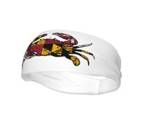 Headbands Maryland Chesapeake Bay Blue Crabs 3 Sweatband for Women Men-Yoga Sweat Band Elastic Wide Hair Bands for Sports Fitness