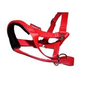 Headcollar Dog Halter/Training Head Collar Training Tool Dog, Head Harness to Stop Pulling on the Lead, Easy to Use, Padded Nose Band, Adjustable (1, Red)