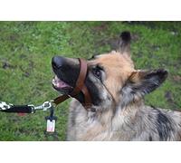 Headcollar Dog Halter/Training Head Collar Training Tool Dog, Head Harness to Stop Pulling on the Lead, Easy to Use, Padded Nose Band, Adjustable (1, Brown)