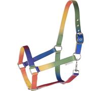 Headcollar for Shetland Waldhausen Arc-en-ciel