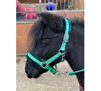 Headcollar Lead Rope Set with Christmas Ho-Ho Print Green Full-Mini Shetland (Cob)