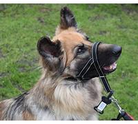 Headcollar Set, Reflective Padded Head Collar and Lead Dog Training Halter Stops Dog Pulling Training Tool (Reflective Black, 4)