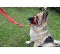 Headcollar Set, Reflective Padded Head Collar and Lead Dog Training Halter Stops Dog Pulling Training Tool (Reflective Red, 3)