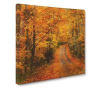 Heading into the Forest Canvas Print | Gallery Wrapped 30mm Frame Wall Art | 14x14 inches | Ready to Hang | Abstract Landscape Picture | Living Room Bedroom Lounge Office