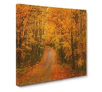 Heading into the Forest Canvas Print | Gallery Wrapped 30mm Frame Wall Art | 20x20 inches | Ready to Hang | Abstract Landscape Picture | Living Room Bedroom Lounge Office