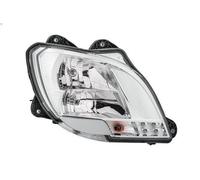 Headligh HELLA 1ED 010 116-541 for DAF CF 6.69 2014-