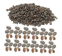 HEALEEP 60g Microlandscape Stones Decoration for Mini Gardens Fish Tanks and Dioramas Natural Small Rocks for Sand Table and Scenery Basing