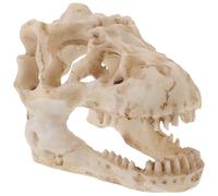HEALEEP Mini Resin Dinosaur Skull Model Small Head Skeleton Ornament Educational for Science Learning and Home Decor