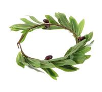 HEALEEP Olive Leaf Flower Wreath Hair Accessory for Women Stylish Headband for Wedding Party and Photo Props Lightweight Foliage Crown for Brides and Cosplay Events