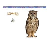 HEALEEP Owl Shaped Bird Scarer Hanging Ornament for Garden and Patio, Brown Pp Material with Hemp Rope, Easy to Install and Rotates with The Wind, Yard Decoration for Trees and Outdoor Use