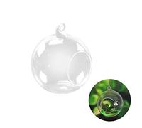 HEALEEP Transparent Hanging Glass Terrarium Planter Round Moss Bottle for Indoor Home Decor Create Refreshing Micro Garden with Air Plants Easy to Use with Attached Hanging Loop