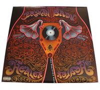 Healer/Real Thang [VINYL]