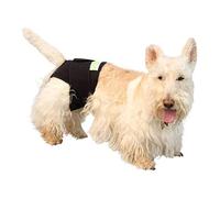 Healers Pet Injury Recovery Rear Body Wrap for Dogs - Multi Use Pet Healer - Reduce Itching and Anxiety - Therapeutic, Comfortable, and Soft - Adjustable Fit with Velcro Closure (X-Small - Rear)