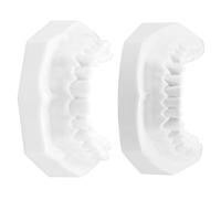 Healeved Adult Standard Teaching Teeth Model White Corundum Material, Easy to Operate and Excellent Durability, for Home and Teaching Scenarios, Extractable Tooth Model for Effective Oral