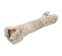 Healeved Bone Shaped Resin Reptile Hideout Cave with Delicate Details and Unique Artistic Atmosphere, Portable Indoor Pet Shelter for Reptile Tank Decoration and Feeding Box Landscaping