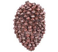 Healeved Brown 1 Pine Cone House Key Hider Resin Decorative Key Saving Box for Yard Outdoor Storage of Small Items and Cash