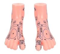 Healeved Foot Massage Model Foot Bath Display Model for Reflexology Teaching Suitable for Therapy and Learning