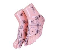 Healeved Foot Reflexology Model Portable Acupuncture Massage Training Tool Reflexology Chart for Education