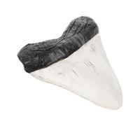 Healeved Giant Resin Model Decoration, Vintage Animal Skull Craft for Desktop Display and Ancient Teeth Ornament for Science Education and Home Decor