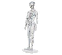 Healeved Human Acupuncture Point Mannequin, Male White Plastic Body Model Display for Acupoint Learning, Meridian Teaching, Health Management and Education