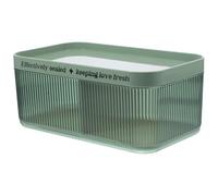 Healeved Leakproof Food Storage Container with Removable Strainer Plate for Fruits and Berries, Green Food Grade Plastic Refrigerator Organizer Bin for Home Use and Fresh-keeping