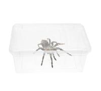 Healeved Lightweight Portable Plastic Reptile Box for Beetles and Lizards Suitable for Outdoors Use for Insect Feeding and Breeding
