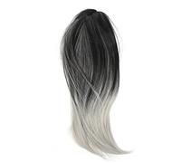 Healeved Medium Straight Wig Black to Gray Gradient for Cosplay and Daily Wear Featuring Middle Parted Bang and Natural Hair Wig Style