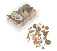 Healeved Natural Stone Collection Mixed Ore Specimens Teaching Tool for School and Craft Educational Use with Raw Minerals and Rocks Sample Kit