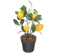 Healeved Realistic Artificial Lemon Pomegranate Bonsai Plant with Plastic Material, Unique Style, Easy to Maintain Decorative Fake Fruit for Home Decor and Party Use