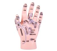 Healeved Reflexology Hand Training Model with Precise Acupuncture Points for Tcm Education Pvc Material Realistic Detailing for Massage Practice and Instruction