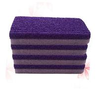 Healeved Scrub Tools 4pcs Pumice Stone Foot Remover Portable Pedicure Purple Foot Exfoliation Tool