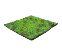 Healeved Synthetic Artificial Moss Mat Green Plastic Fake Grass Turf Patch High Realism and No Watering Required for Patios and Gardens Outdoor Decor