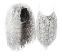Healeved Wizard Wig Beard Set for Cosplay Long Hair Grey Beard Costume Accessory for Halloween Party Dress
