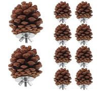 Healifty 10pcs Natural Pine Cone Foraging Bird Hanging Parrot Chewing with Nuts Secure for Small to Medium Birds Pet Chewing and Biting Plaything