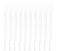 Healifty 10pcs White Birch Decorative Branches Dried Twigs Natural Home Decorative Plants Vase Filler for Diy Crafts Wedding Party Supplies 50cm